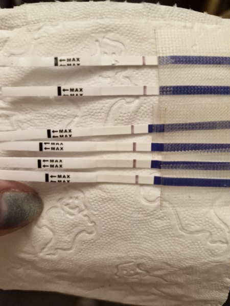 IVF - July Transfers