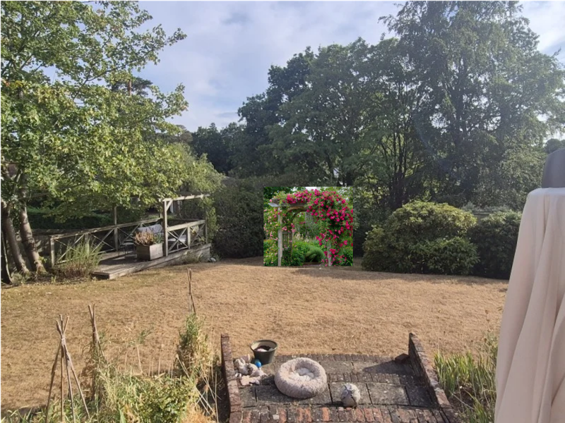 Metal or wooden rose archway?