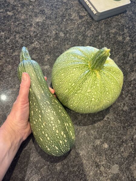 What can I do with overgrown courgettes?