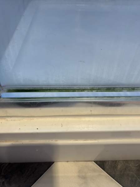Can anyone help me figure out how to clean this?