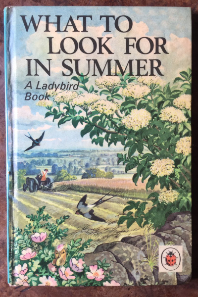 The Bluestocking Pub, where we continue to read about gerbils nobly and bravely working undercover in the Fen.