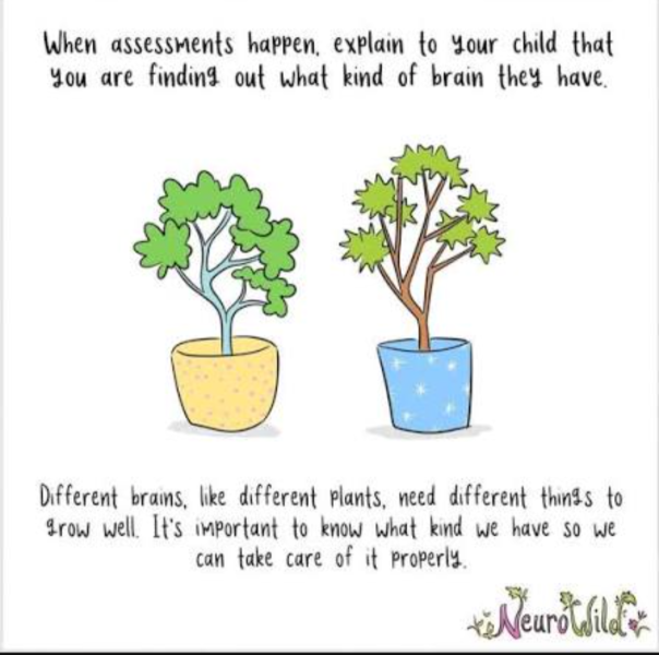 How and when to explain an autism diagnosis to my five-year-old