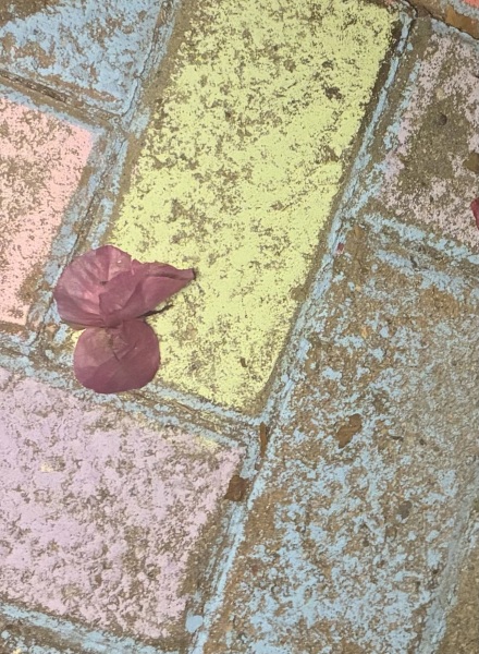 To find pavement chalking by neighbour unreasonable?