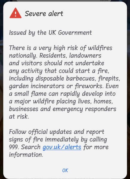 Can you still access the text of the Government's emergency alert message on your phone?