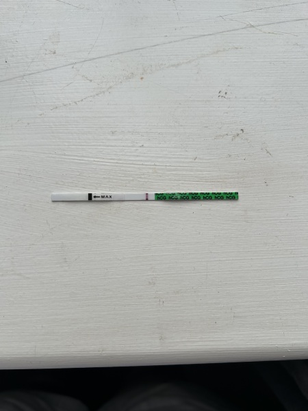 Can anyone see a line on this pregnancy test?
