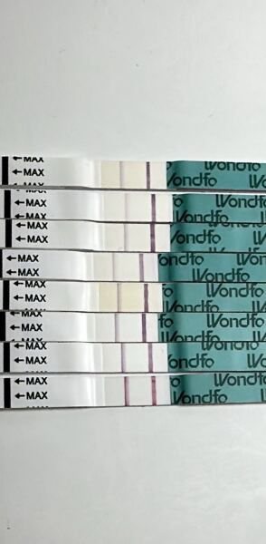 TTC - is this a surge? First time using ovulation strips