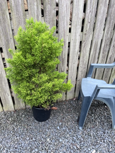 How to make the exterior of my house more beautiful?