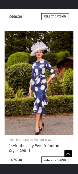 Husband dislikes my mother of the bride dress choices, am I wrong?