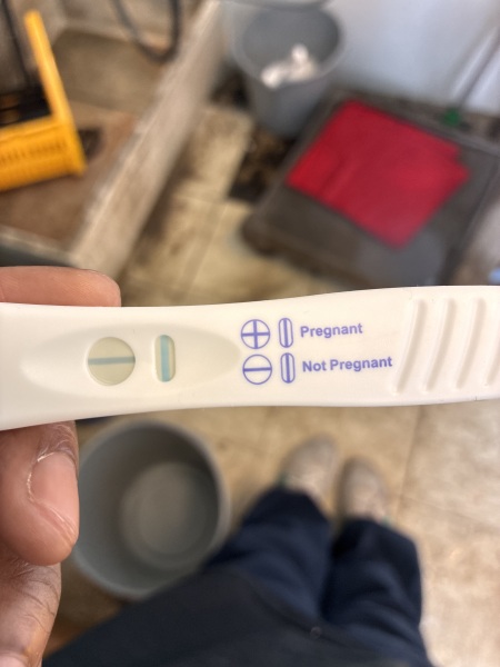 Pregnancy