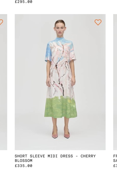 Husband dislikes my mother of the bride dress choices, am I wrong?