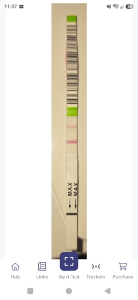 Confused about ovulation timing after peak result and Flo saying 4DPO