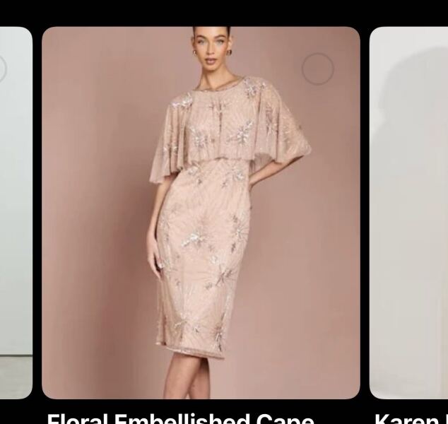 Husband dislikes my mother of the bride dress choices, am I wrong?