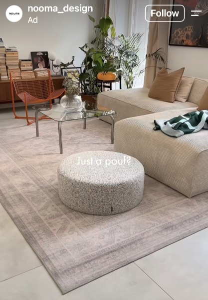 Identify rug please