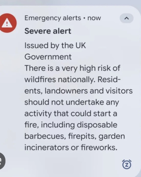 I thought we agreed BBQs were a bad idea.