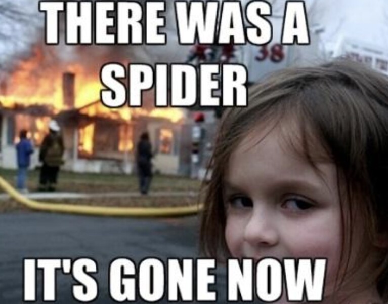 Massive spider in lounge, shut the door and sealed with masking tape last night,now what?