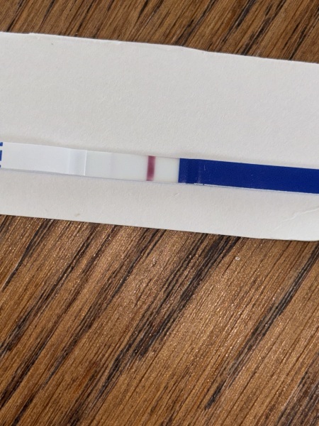 Can anyone else see a faint line on this test?
