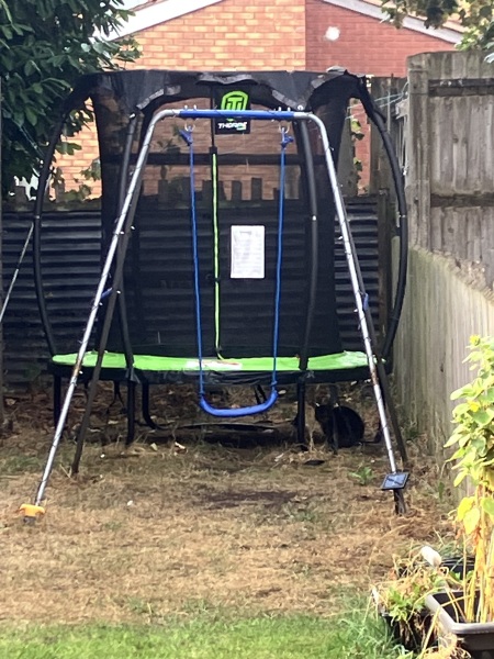 What do I need to bear in mind when buying a trampoline?