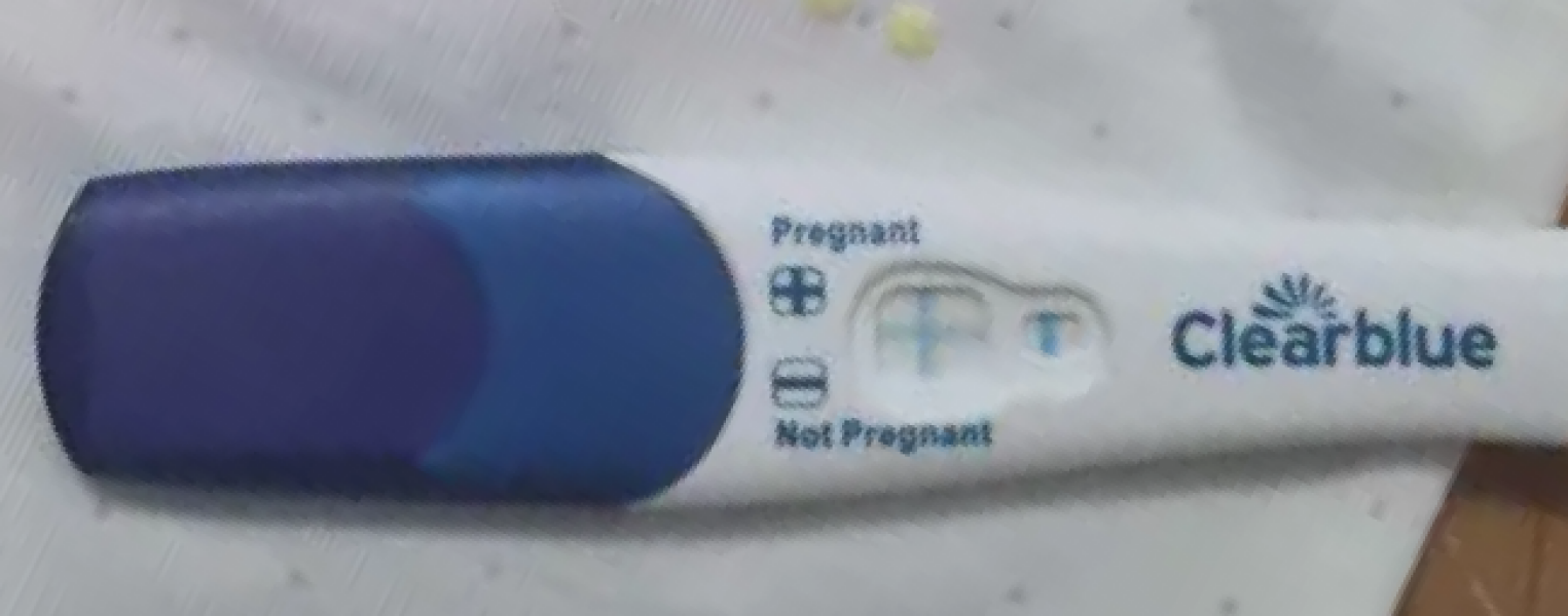 IVF - July Transfers