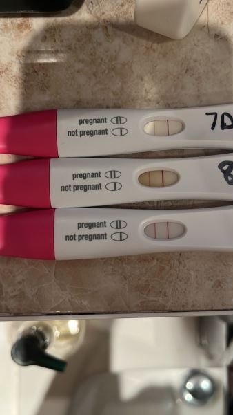 Line progression after frozen embryo transfer and testing early after miscarriages
