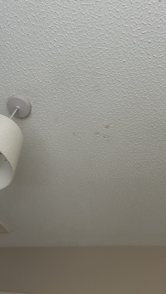 Spotted possible leak on the upstairs ceiling, who should we call?