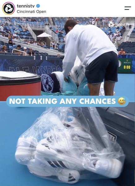 TENNIS THREAD- We bid farewell to SW19 for another year (along with AC the butterfly fancier), and prepare for the hard courts, after a detour on the European clay.