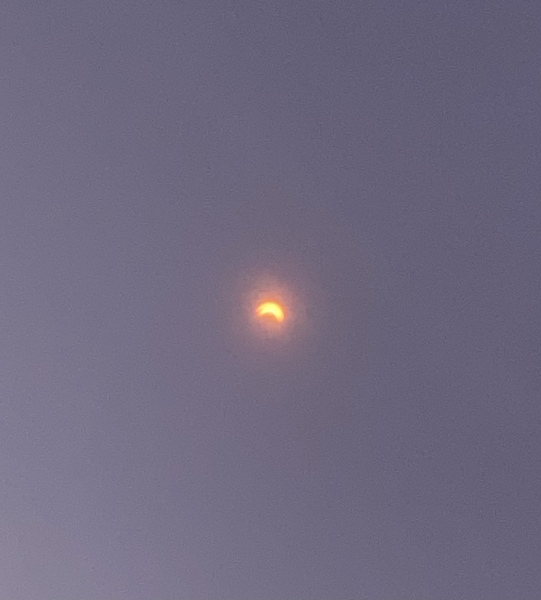 Solar eclipse this evening.