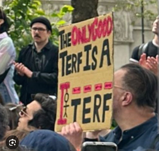 'Pregnant people'