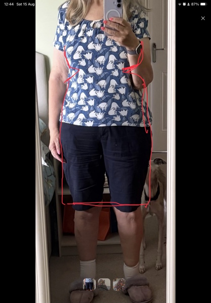 Husband dislikes my mother of the bride dress choices, am I wrong?