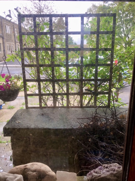 Adding trellis to stop neighbour intrusion