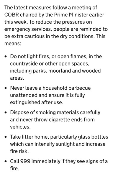 I thought we agreed BBQs were a bad idea.