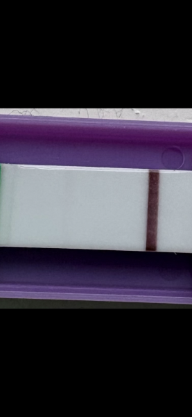 10 DPO Test TTC#2