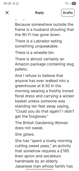 The Bluestocking Women's Pub, in which we wait excitedly for the next instalment of Gosie's adventures. Gosie, Glass and the Gerbils' Dilemma.