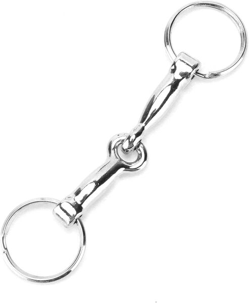 Do you have a keyring for your keys ? and if so, what is it ?