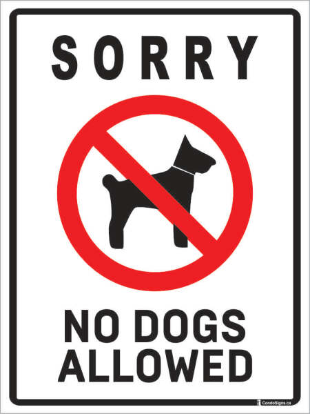 Is the dog invited?
