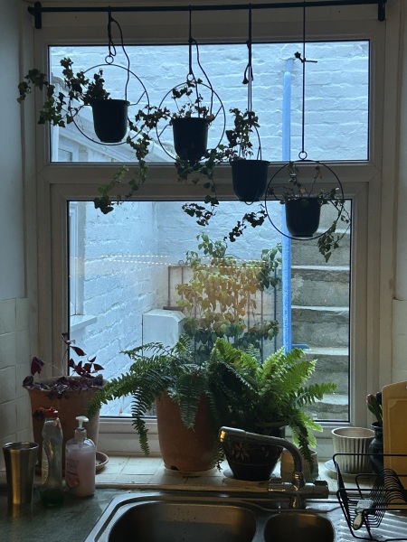 Ideas to improve a basement kitchen window view without losing light