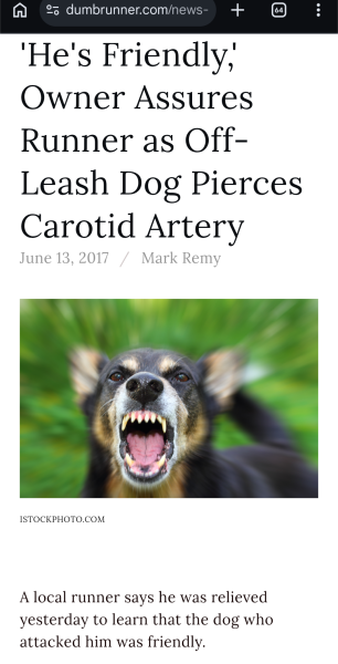 AIBU to say an owner was irresponsible after his dog jumped at my toddler?
