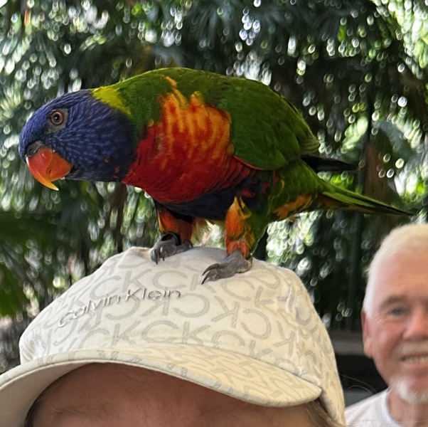 Show me a “cool” baseball cap