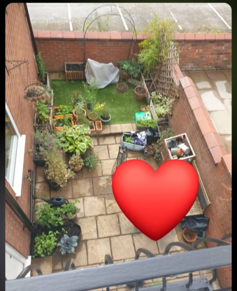 Help with making small garden work for family life