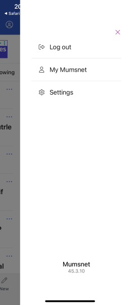 App glitching after posting replies.