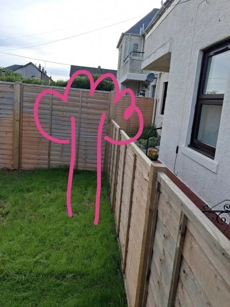 Adding trellis to stop neighbour intrusion