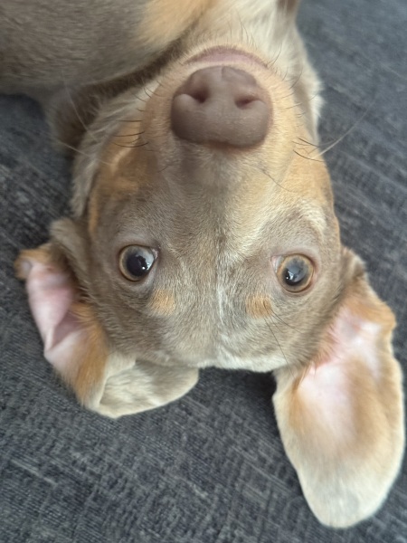 What did you wake up to this morning?