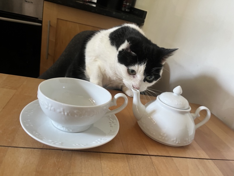 Can anyone help me find this old tea-for-one embossed bone china tea set? Huge please!