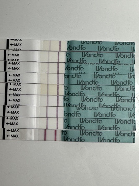 TTC - is this a surge? First time using ovulation strips