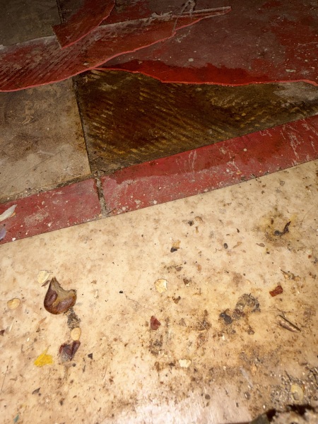 What is this under our lino!?