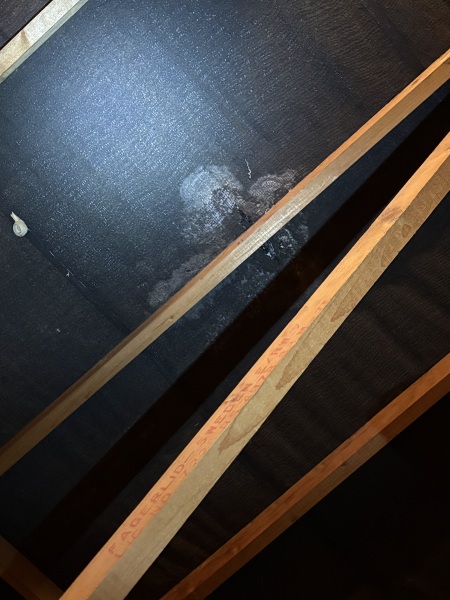Spotted possible leak on the upstairs ceiling, who should we call?