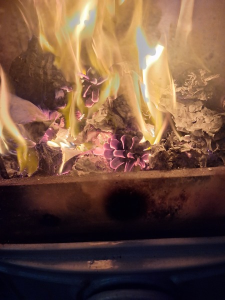 The Year Round Nigel Slater discussion thread part 6