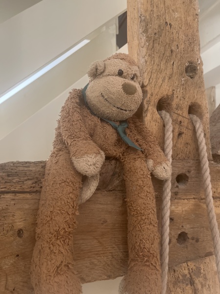 Any jellycat experts who can help me out?