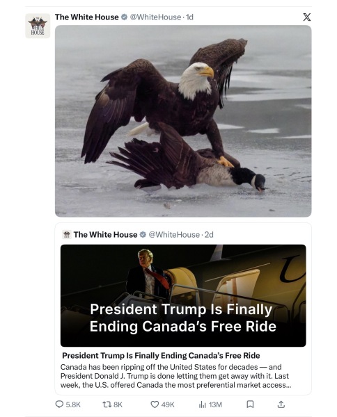 The Reaper Should Have Gone To SpecSavers - Trump Thread #168