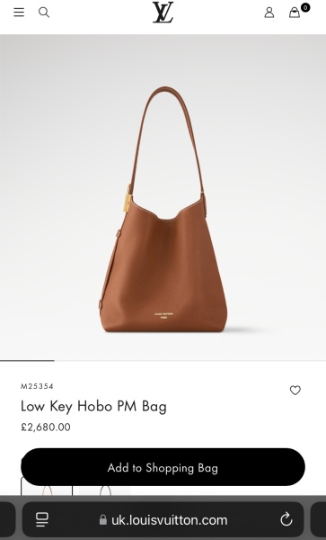 Status but every day handbag