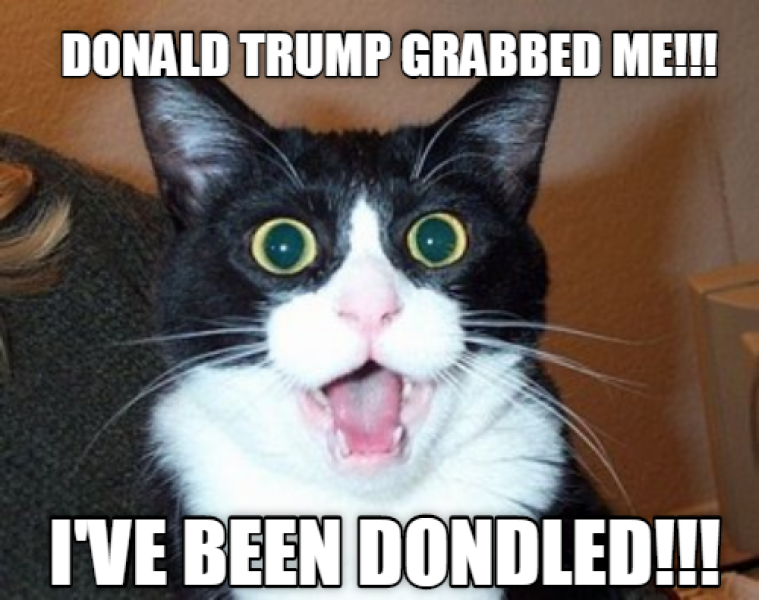 The Reaper Should Have Gone To SpecSavers - Trump Thread #168